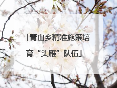青山乡精准施策培育“头雁”队伍