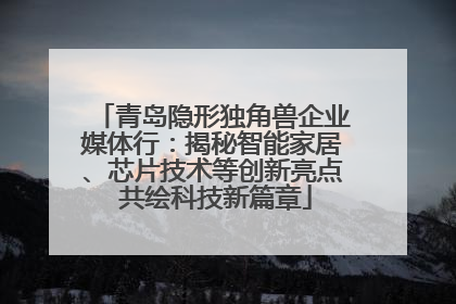 青岛隐形独角兽企业媒体行：揭秘智能家居、芯片技术等创新亮点 共绘科技新篇章
