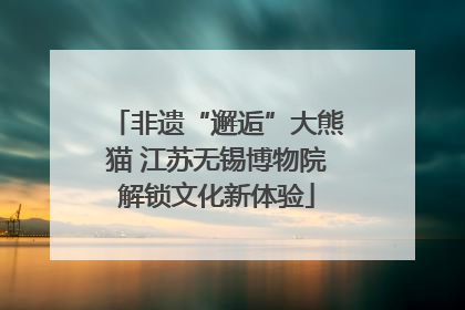 非遗“邂逅”大熊猫 江苏无锡博物院解锁文化新体验