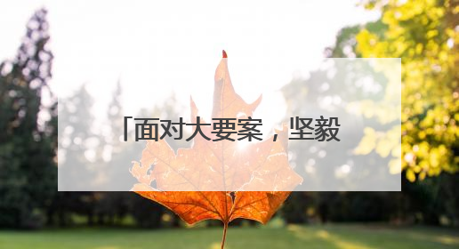 面对大要案，坚毅如山面对被害人，温婉如水——记全国先进工作者、上海市检察院经济犯罪检察部主任马玮玮