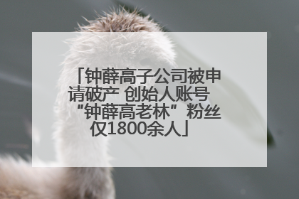 钟薛高子公司被申请破产 创始人账号“钟薛高老林”粉丝仅1800余人