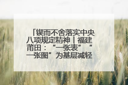 锲而不舍落实中央八项规定精神丨福建莆田：“一张表”“一张图”为基层减轻“数字负担”