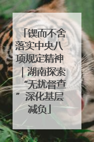 锲而不舍落实中央八项规定精神｜湖南探索“无扰督查”深化基层减负
