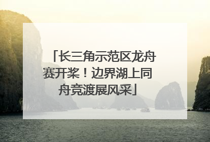 长三角示范区龙舟赛开桨！边界湖上同舟竞渡展风采