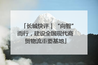 长城快评｜“向智”而行，建设全国现代商贸物流重要基地