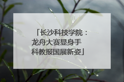 长沙科技学院：龙舟大赛显身手 科教报国展新姿
