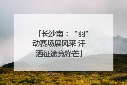 长沙南：“羽”动赛场展风采 汗洒征途竞锋芒