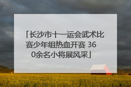 长沙市十一运会武术比赛少年组热血开赛 360余名小将展风采