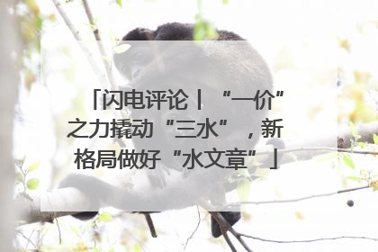 闪电评论丨“一价”之力撬动“三水”，新格局做好“水文章”
