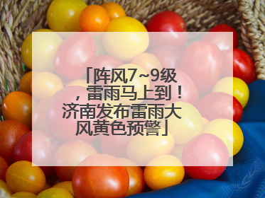 阵风7~9级，雷雨马上到！济南发布雷雨大风黄色预警