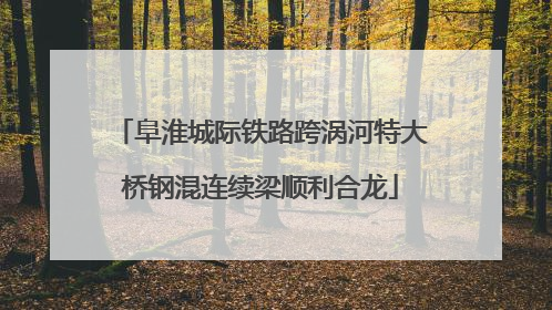 阜淮城际铁路跨涡河特大桥钢混连续梁顺利合龙