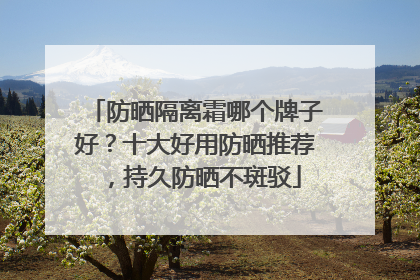 防晒隔离霜哪个牌子好？十大好用防晒推荐，持久防晒不斑驳