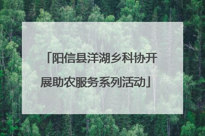 阳信县洋湖乡科协开展助农服务系列活动