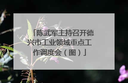 陈武军主持召开德兴市工业领域重点工作调度会（图）