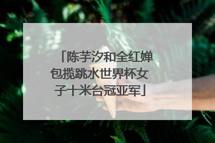 陈芋汐和全红婵包揽跳水世界杯女子十米台冠亚军