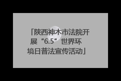 陕西神木市法院开展“6.5”世界环境日普法宣传活动