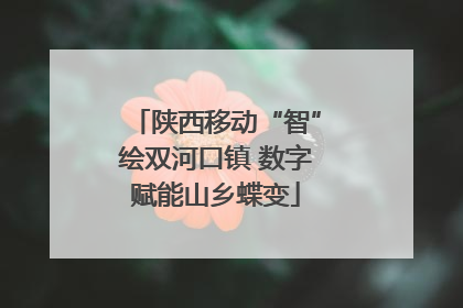 陕西移动“智”绘双河口镇 数字赋能山乡蝶变