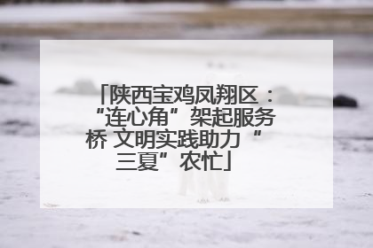 陕西宝鸡凤翔区：“连心角”架起服务桥 文明实践助力“三夏”农忙