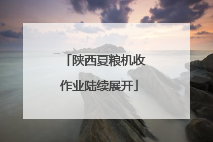 陕西夏粮机收作业陆续展开
