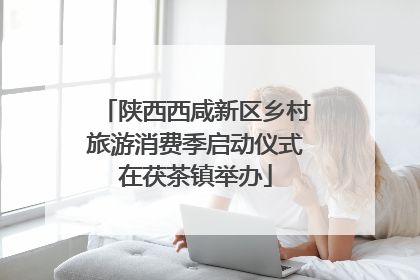 陕西西咸新区乡村旅游消费季启动仪式在茯茶镇举办