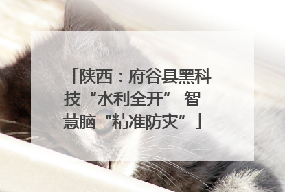 陕西：府谷县黑科技“水利全开” 智慧脑“精准防灾”