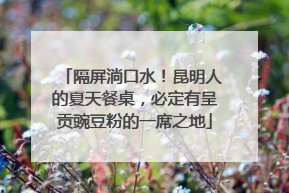 隔屏淌口水！昆明人的夏天餐桌，必定有呈贡豌豆粉的一席之地