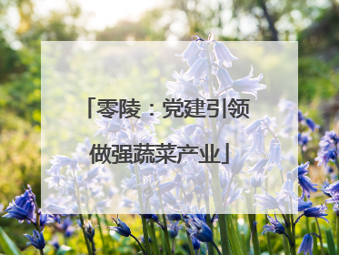 零陵：党建引领 做强蔬菜产业