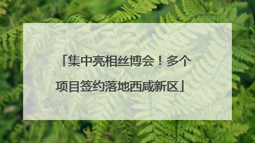 集中亮相丝博会！多个项目签约落地西咸新区