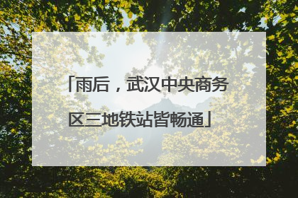 雨后，武汉中央商务区三地铁站皆畅通