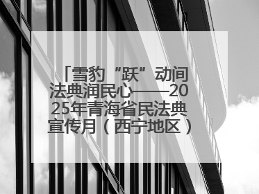雪豹“跃”动间 法典润民心——2025年青海省民法典宣传月（西宁地区）主场活动见闻