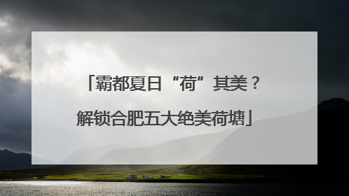 霸都夏日“荷”其美？解锁合肥五大绝美荷塘