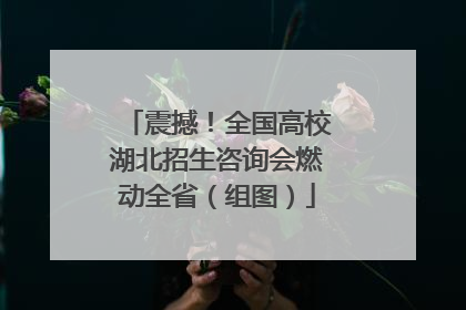震撼！全国高校湖北招生咨询会燃动全省（组图）