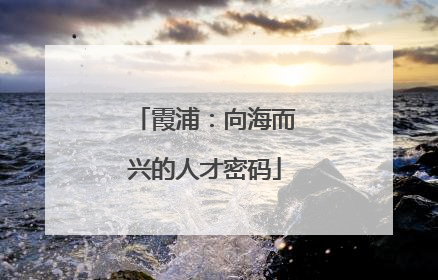 霞浦：向海而兴的人才密码