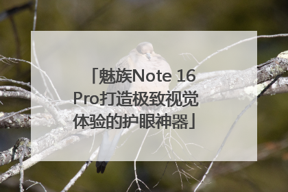 魅族Note 16 Pro打造极致视觉体验的护眼神器