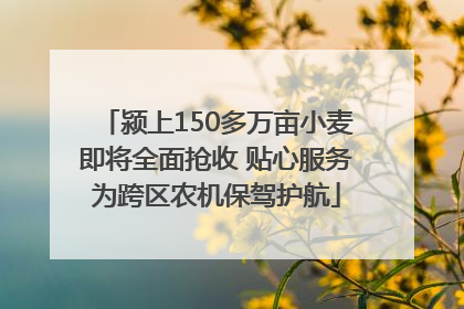 颍上150多万亩小麦即将全面抢收 贴心服务为跨区农机保驾护航