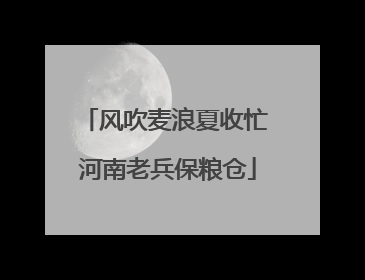 风吹麦浪夏收忙 河南老兵保粮仓