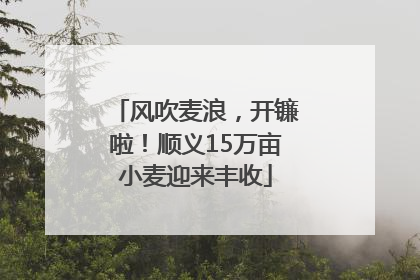 风吹麦浪，开镰啦！顺义15万亩小麦迎来丰收