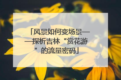 风景如何变场景——探析吉林“赏花游”的流量密码