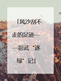 风沙刮不走的足迹——彰武“逐绿”记
