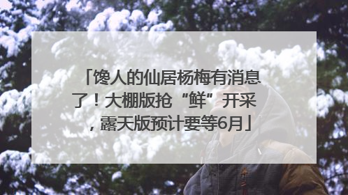 馋人的仙居杨梅有消息了！大棚版抢“鲜”开采，露天版预计要等6月