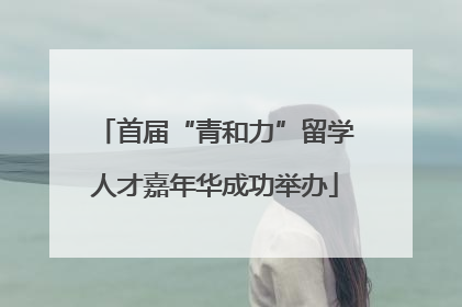首届“青和力”留学人才嘉年华成功举办