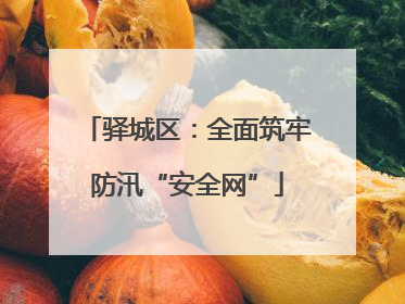 驿城区：全面筑牢防汛“安全网”