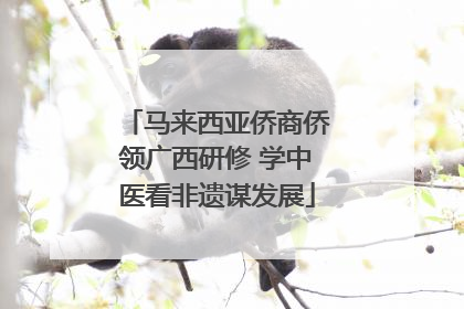 马来西亚侨商侨领广西研修 学中医看非遗谋发展