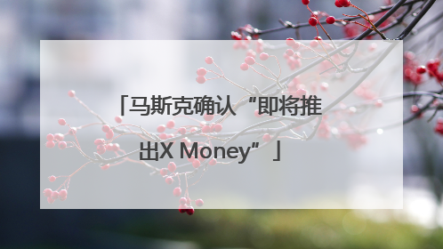 马斯克确认“即将推出X Money”