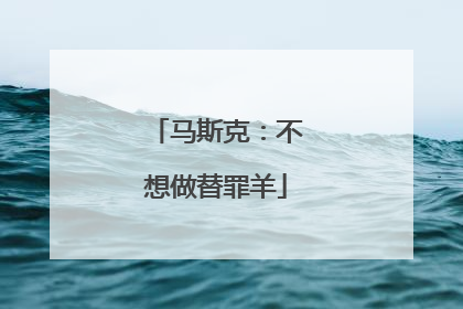 马斯克：不想做替罪羊