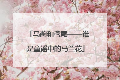 马蔺和鸢尾——谁是童谣中的马兰花