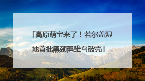 高原萌宝来了！若尔盖湿地首批黑颈鹤雏鸟破壳