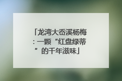 龙湾大岙溪杨梅：一颗“红盘绿蒂”的千年滋味