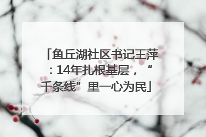 鱼丘湖社区书记王萍：14年扎根基层，“千条线”里一心为民