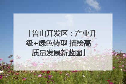 鲁山开发区：产业升级+绿色转型 描绘高质量发展新蓝图